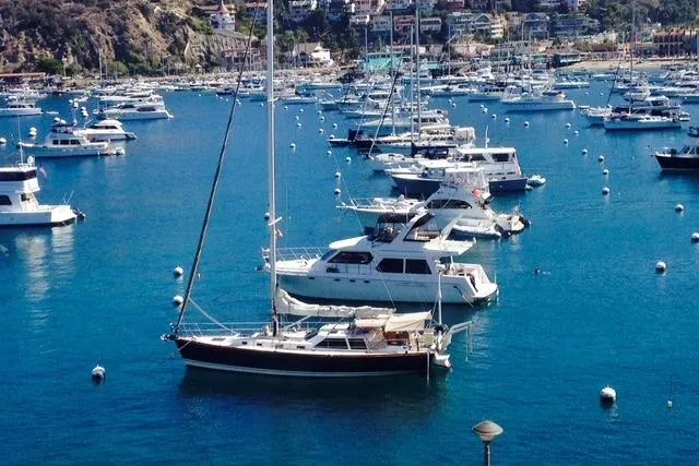 Slide: The Image of Tartini in Avalon - 52