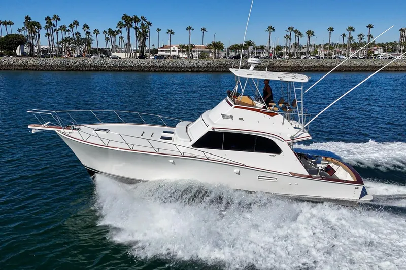 Slide: The Image of White 1984 Post 43 yacht cruising on blue water near palm-lined shore. - 13