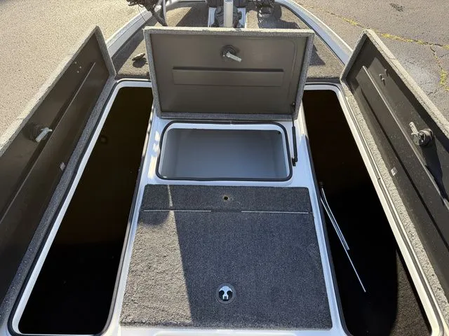 Slide: The Image of Triton 21X3 Pro 2009 - 8