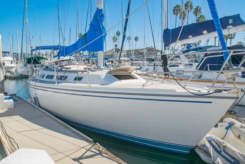 The Image of 1984 Catalina 36 sailboat docked in a sunny marina, surrounded by other boats. - 0