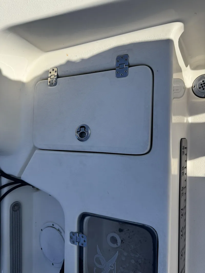 Slide: The Image of Abaco Bonefish 2022 - 16