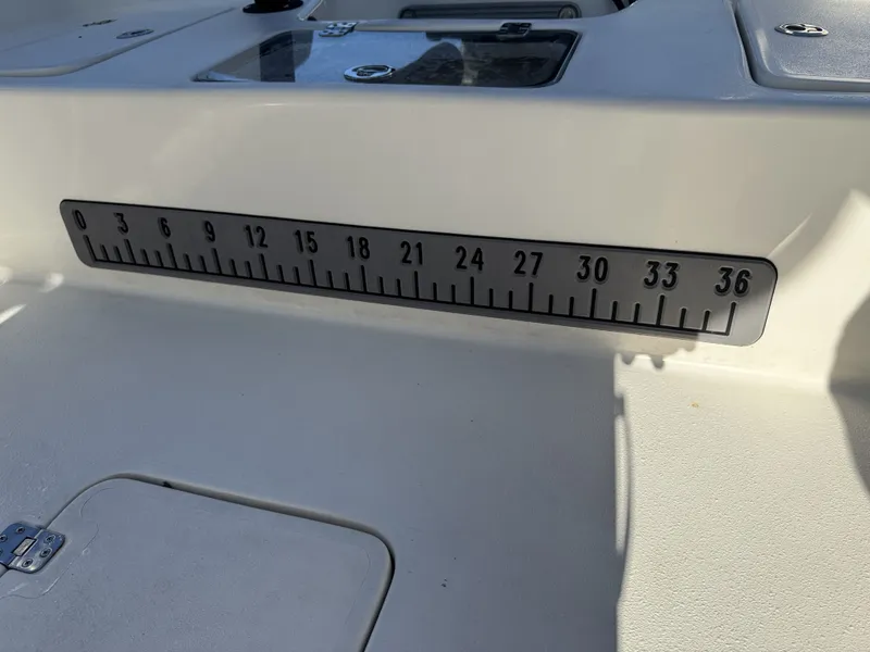 Slide: The Image of Abaco Bonefish 2022 - 19