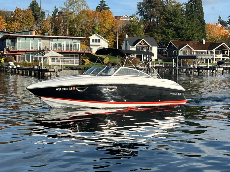 Slide: The Image of Cobalt 243 2013 - 1