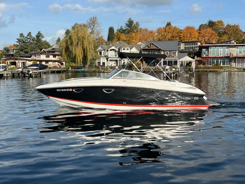 Slide: The Image of Cobalt 243 2013 - 2