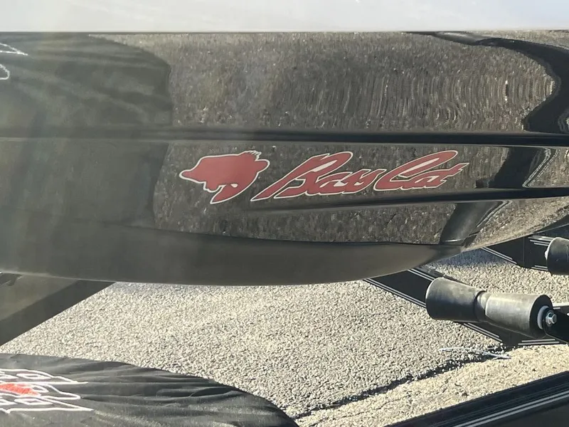 Slide: The Image of Bass Cat Jaguar STS 2026 - 3