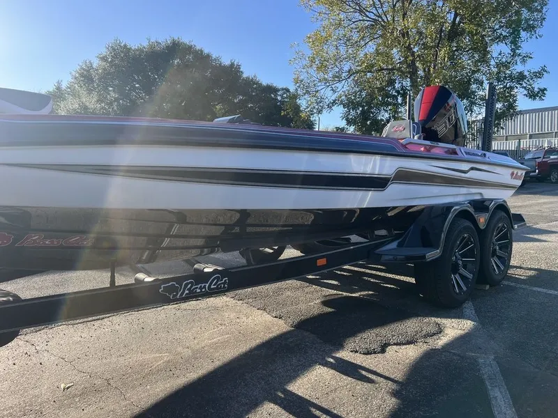 Slide: The Image of Bass Cat Jaguar STS 2026 - 4