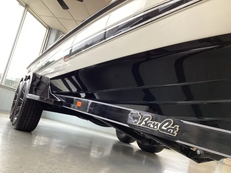 Slide: The Image of Bass Cat Jaguar STS 2026 - 45