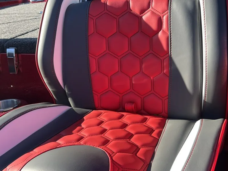 Slide: The Image of Bass Cat Jaguar STS 2026 - 7