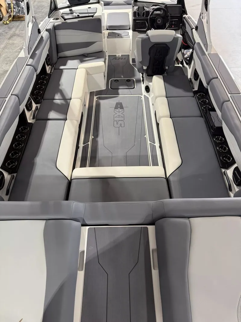 Slide: The Image of Axis A245 2025 - 8