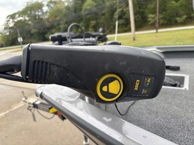 Slide: The Image of Lowe Stinger 175C 2020 - 12