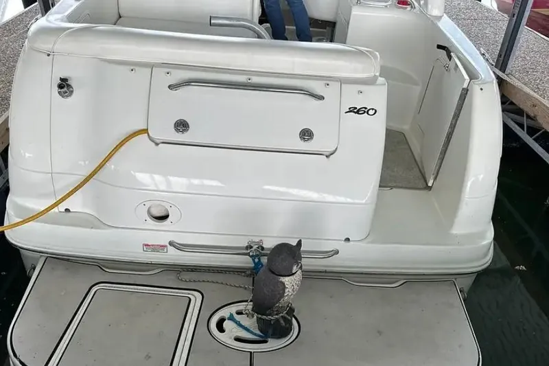 Slide: The Image of 2004 Sea Ray 260 Sundancer boat stern with owl decoy on deck. - 8