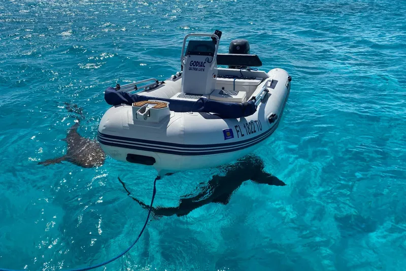Slide: The Image of Inflatable boat on clear blue water with a shark swimming nearby. - 28