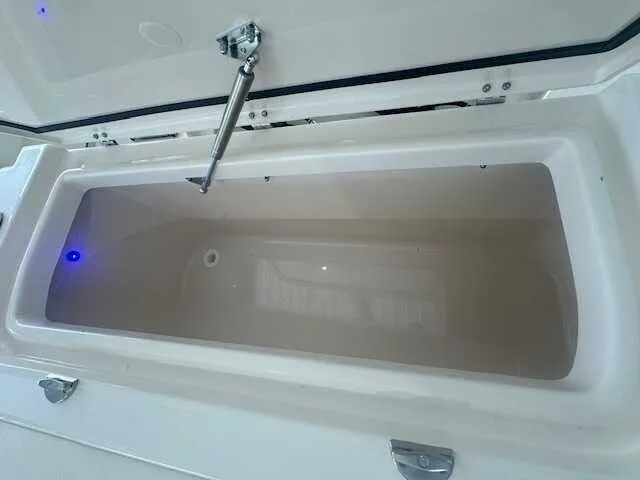 Slide: The Image of Grady-White Canyon 271 2026 - 10