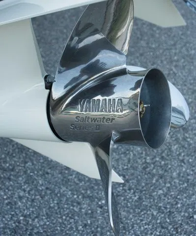 Slide: The Image of Grady-White Canyon 271 2026 - 50