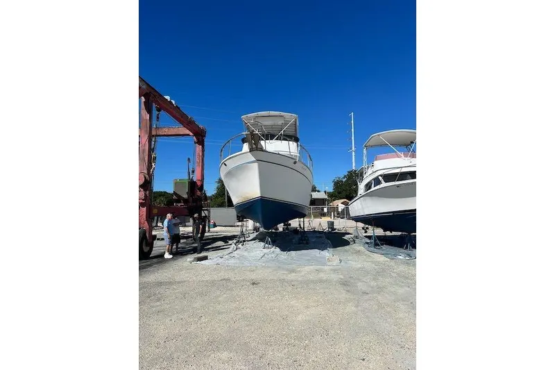 Slide: The Image of Hauled Out - 19