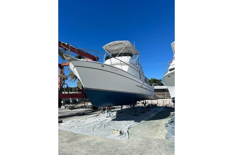 Slide: The Image of Hauled Out - 20