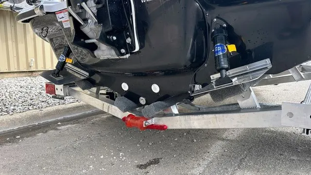 Slide: The Image of ALK2 18CRS 2026 - 11