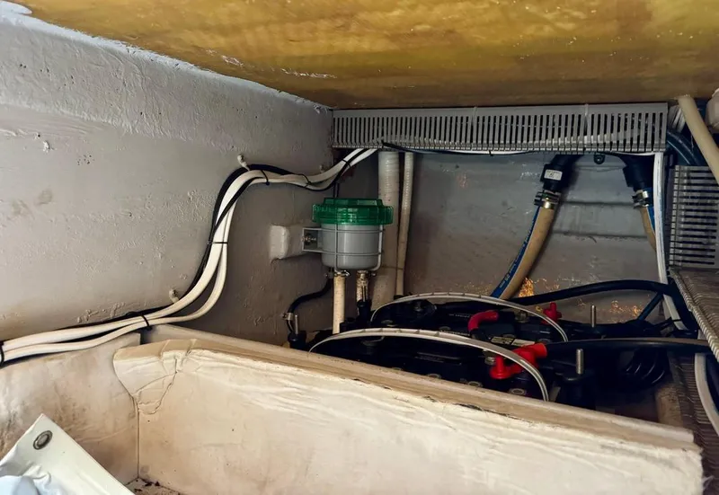 Slide: The Image of Rodman 800 2004 - 53