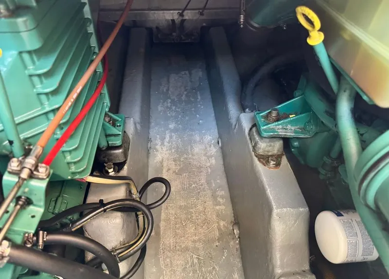 Slide: The Image of Rodman 800 2004 - 54