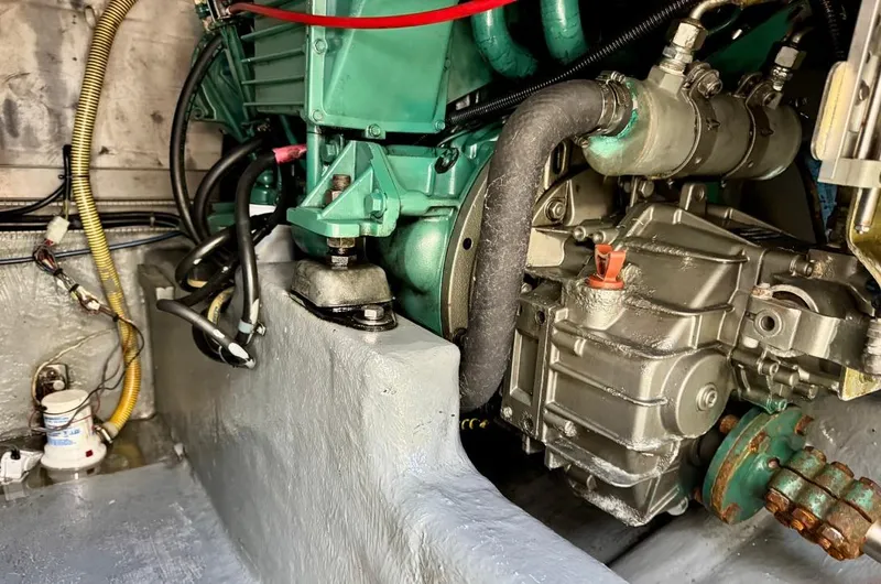 Slide: The Image of Rodman 800 2004 - 55