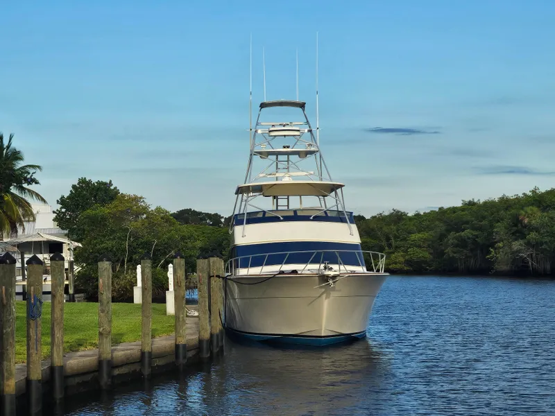 Slide: The Image of 1991 Donzi 65 Sportfisherman yacht docked by a serene riverside. - 6