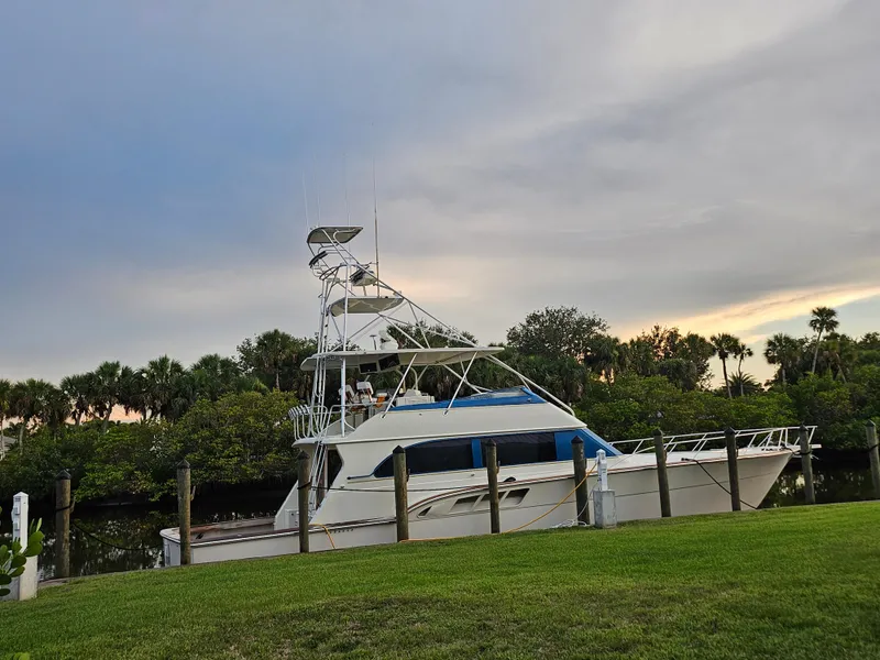 Slide: The Image of 1991 Donzi 65 Sportfisherman yacht docked near lush greenery at sunset. - 7