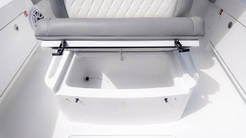 Slide: The Image of Everglades 253 Center Console 2026 - 33