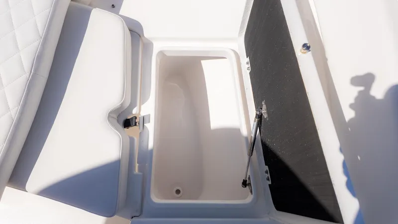 Slide: The Image of Sea Fox 248 Side Console 2025 - 16