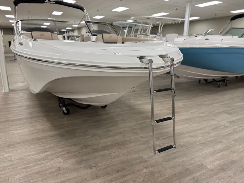 Slide: The Image of Hurricane SD217-OB 2025 - 4