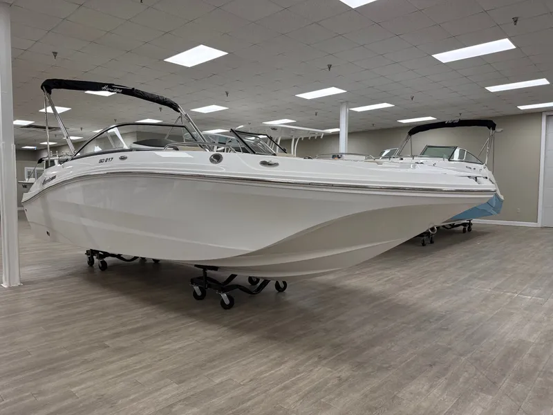 Slide: The Image of Hurricane SD217-OB 2025 - 5