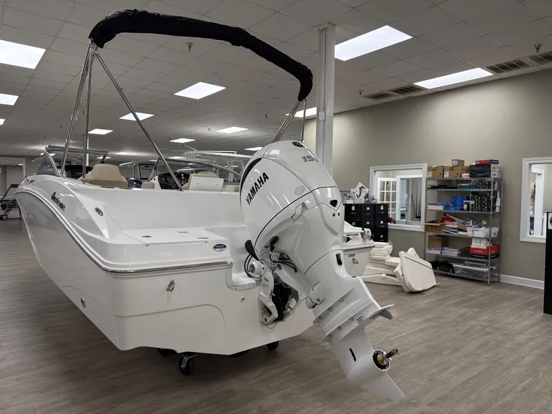 Slide: The Image of Hurricane SD217-OB 2025 - 8