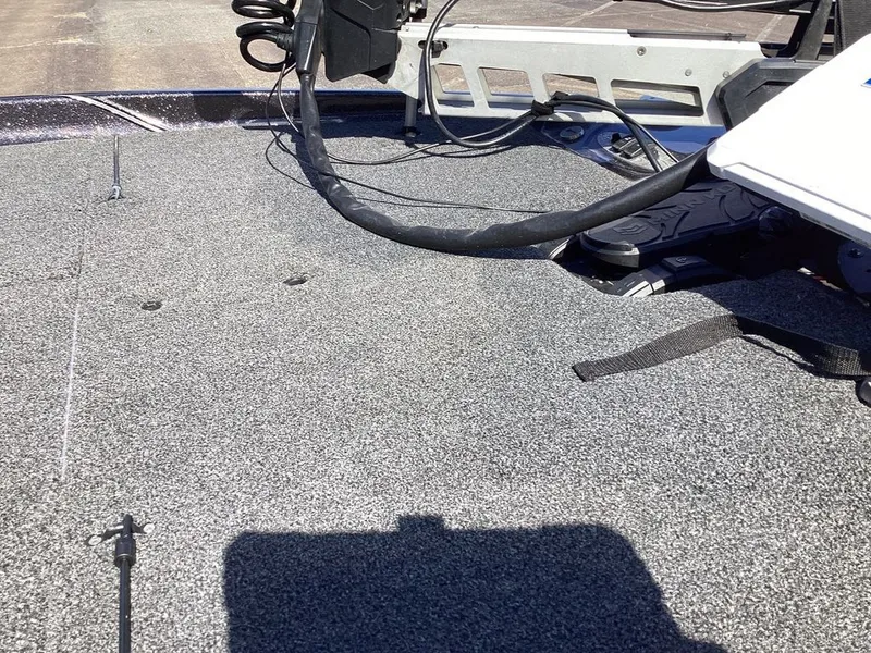 Slide: The Image of Bass Cat Cougar FTD 2023 - 21