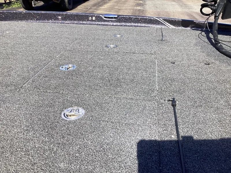 Slide: The Image of Bass Cat Cougar FTD 2023 - 22