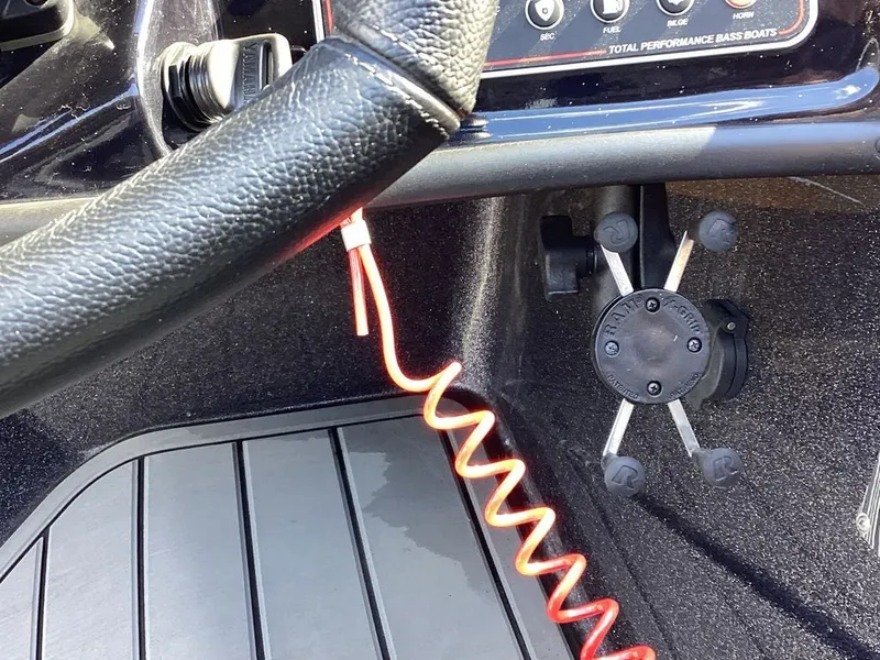 Slide: The Image of Bass Cat Cougar FTD 2023 - 32