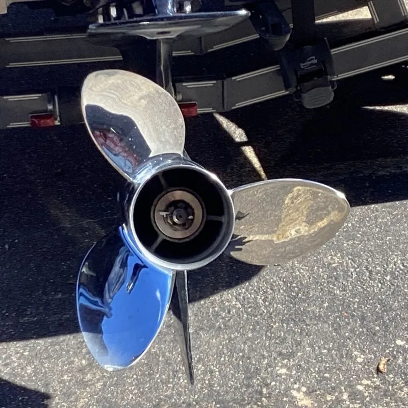 Slide: The Image of Bass Cat Cougar FTD 2023 - 34