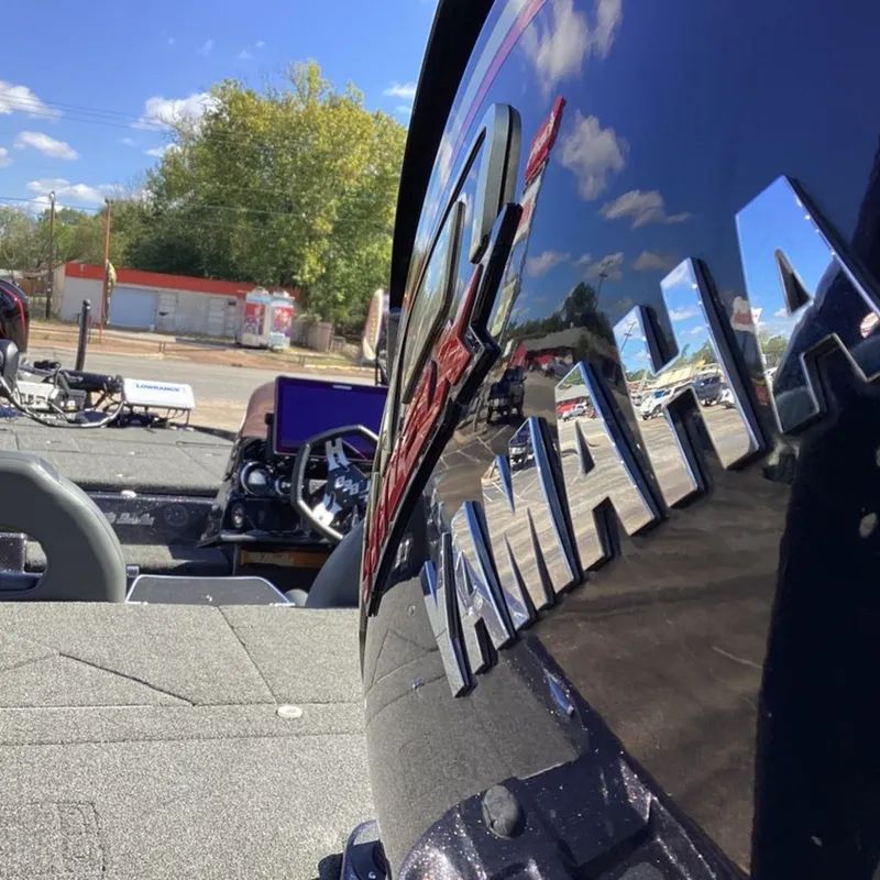 Slide: The Image of Bass Cat Cougar FTD 2023 - 35