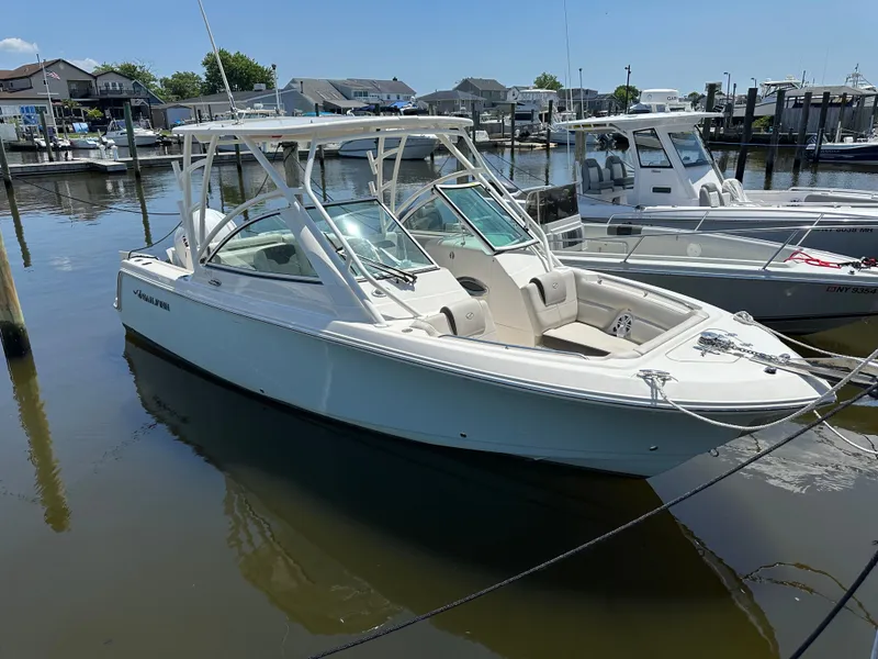 The Image of Sailfish 245 DC 2023 - 1