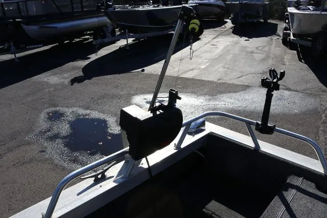 Slide: The Image of Duckworth 20' 1991 - 20