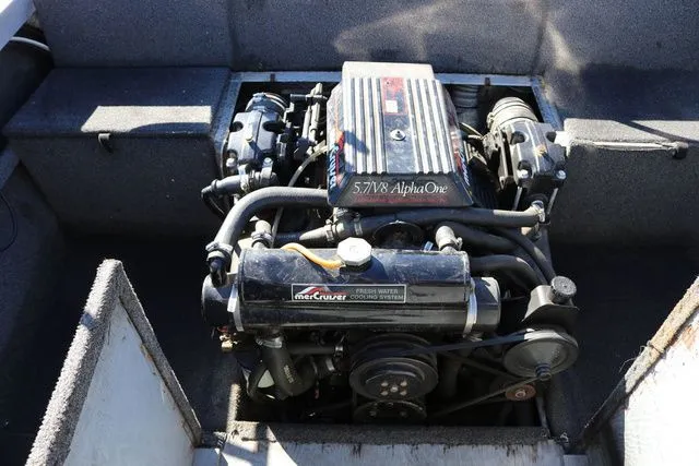 Slide: The Image of Duckworth 20' 1991 - 24