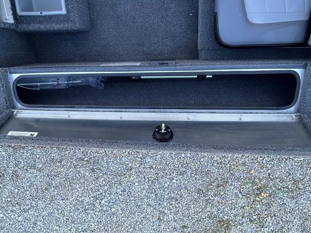 Slide: The Image of Lowe Skorpion 16 2026 - 15