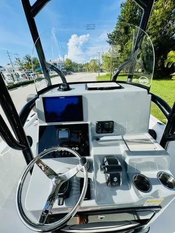 Slide: The Image of Sea Pro 250 DLX 2026 - 10