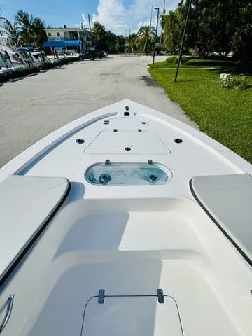 Slide: The Image of Sea Pro 250 DLX 2026 - 16