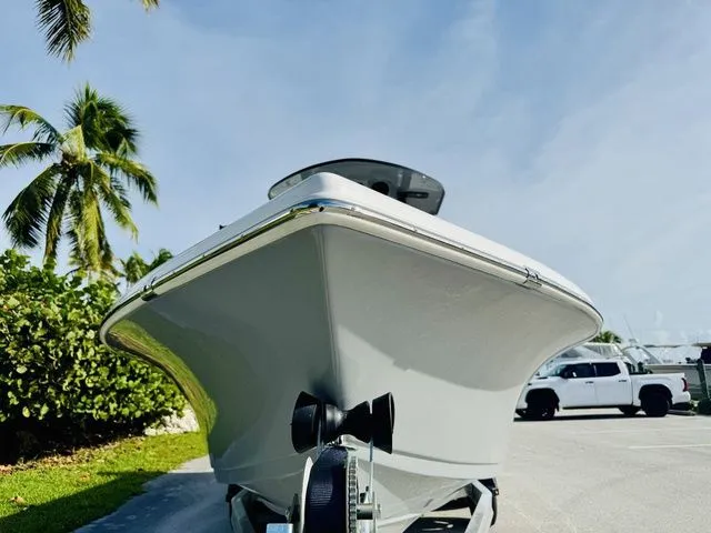 Slide: The Image of Sea Pro 250 DLX 2026 - 21