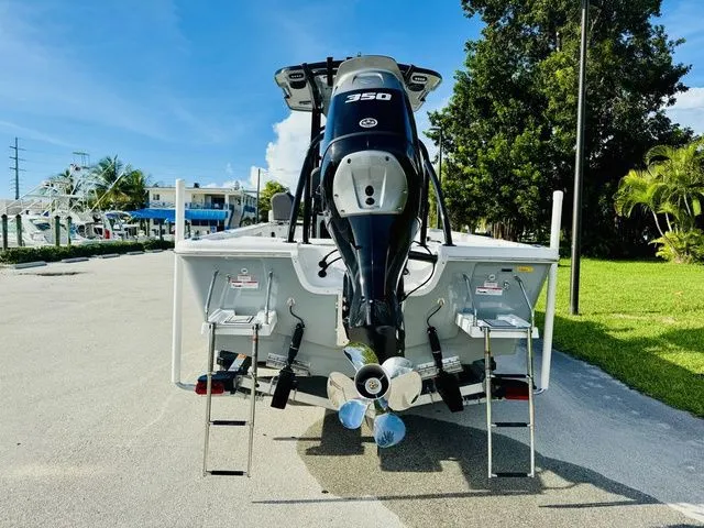 Slide: The Image of Sea Pro 250 DLX 2026 - 4