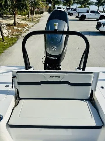 Slide: The Image of Sea Pro 250 DLX 2026 - 6