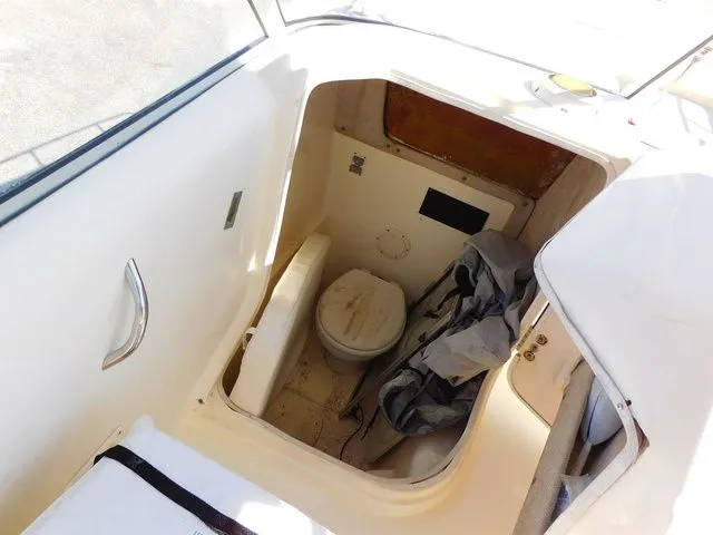 Slide: The Image of World Cat 250DC 2006 - 16