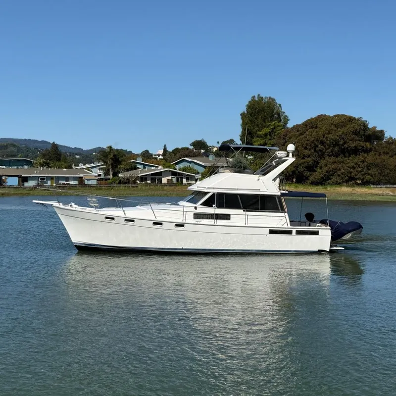 The Image of 1987 Bayliner 3888 Motoryacht on calm water, surrounded by trees and houses. - 0