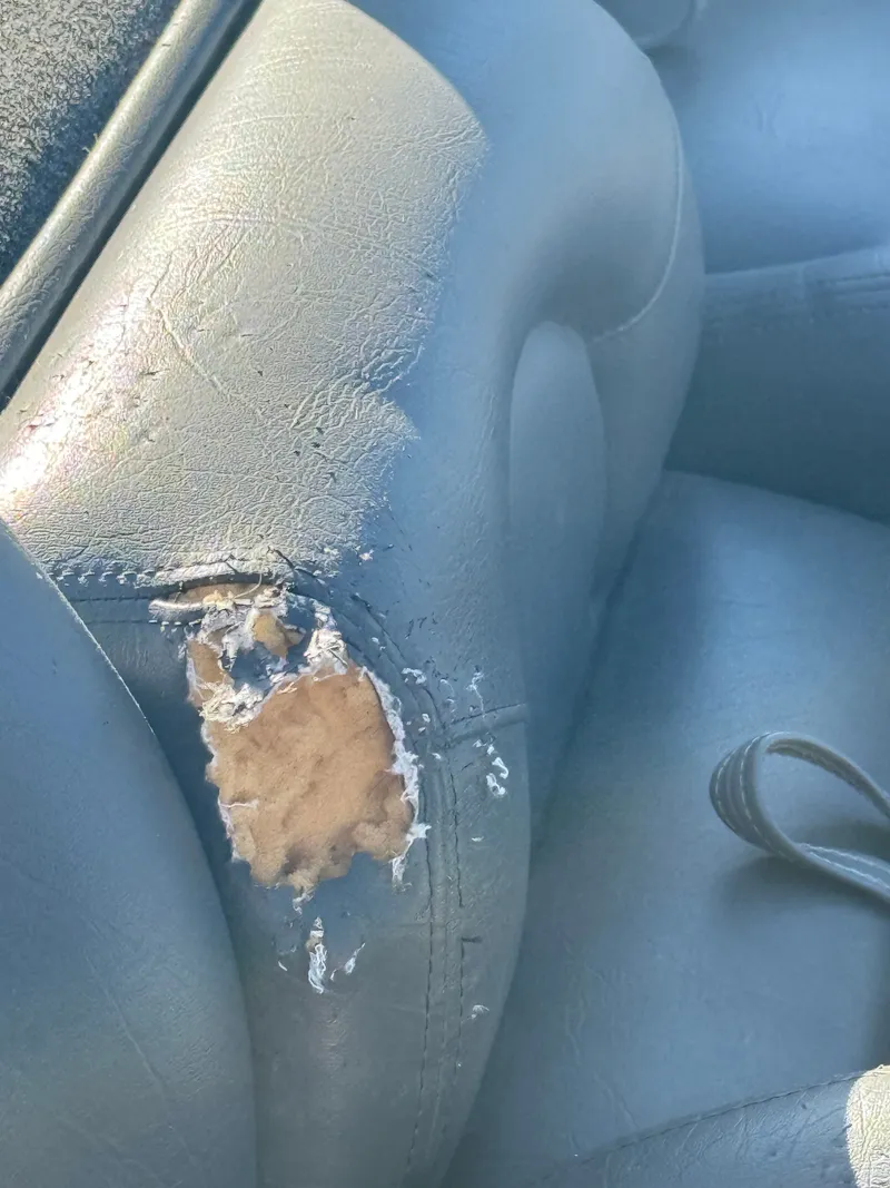 Slide: The Image of Skeeter SX190 2004 - 6