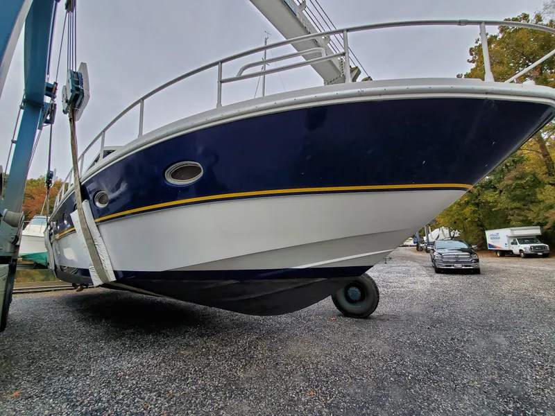 Slide: The Image of Giorgi 46 1993 - 72