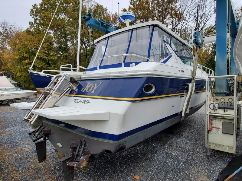 Slide: The Image of Giorgi 46 1993 - 73